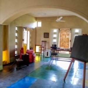 Probiotics in walls